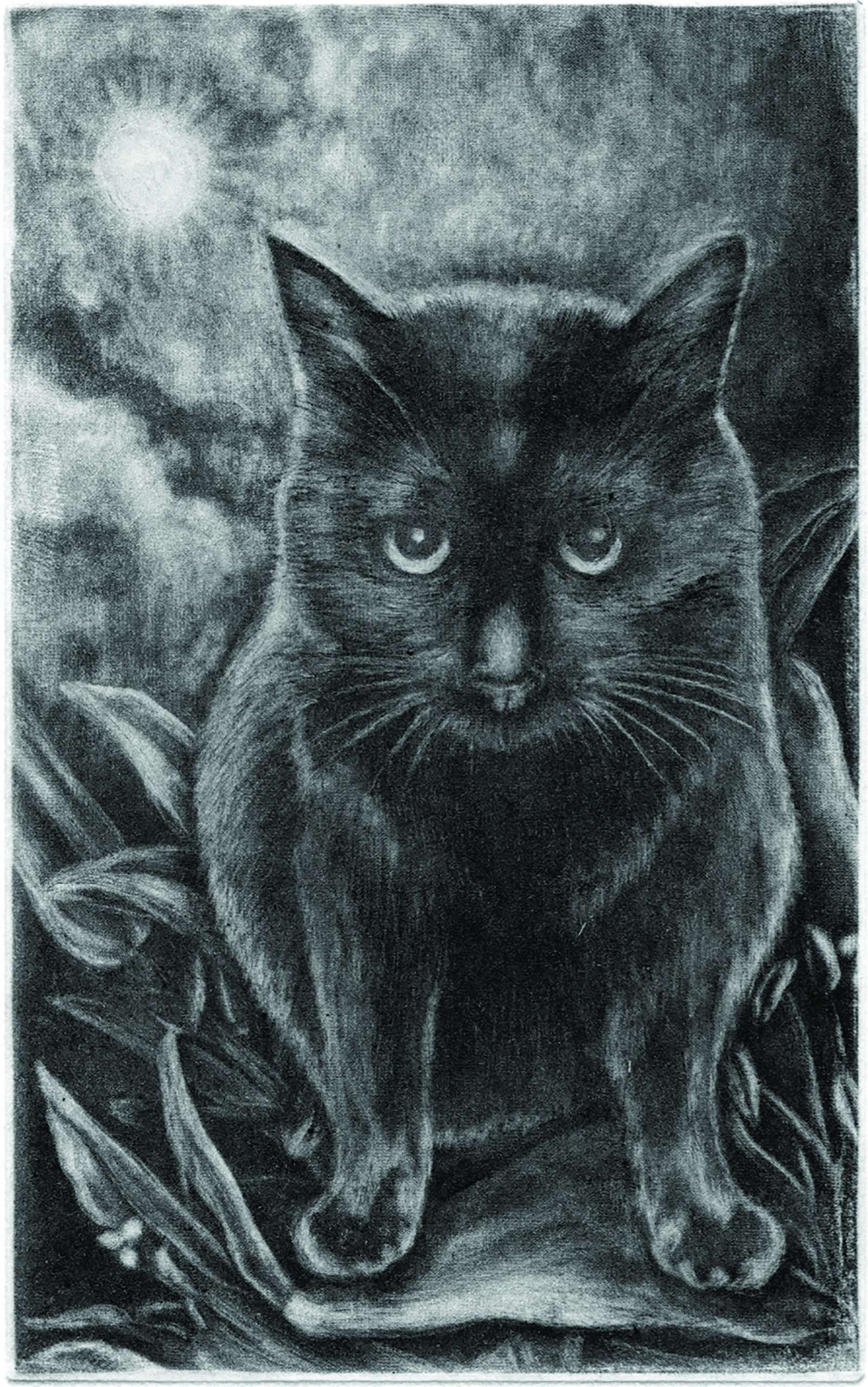 Kuro in black (drypoint etching by Yaemi Shigyo)