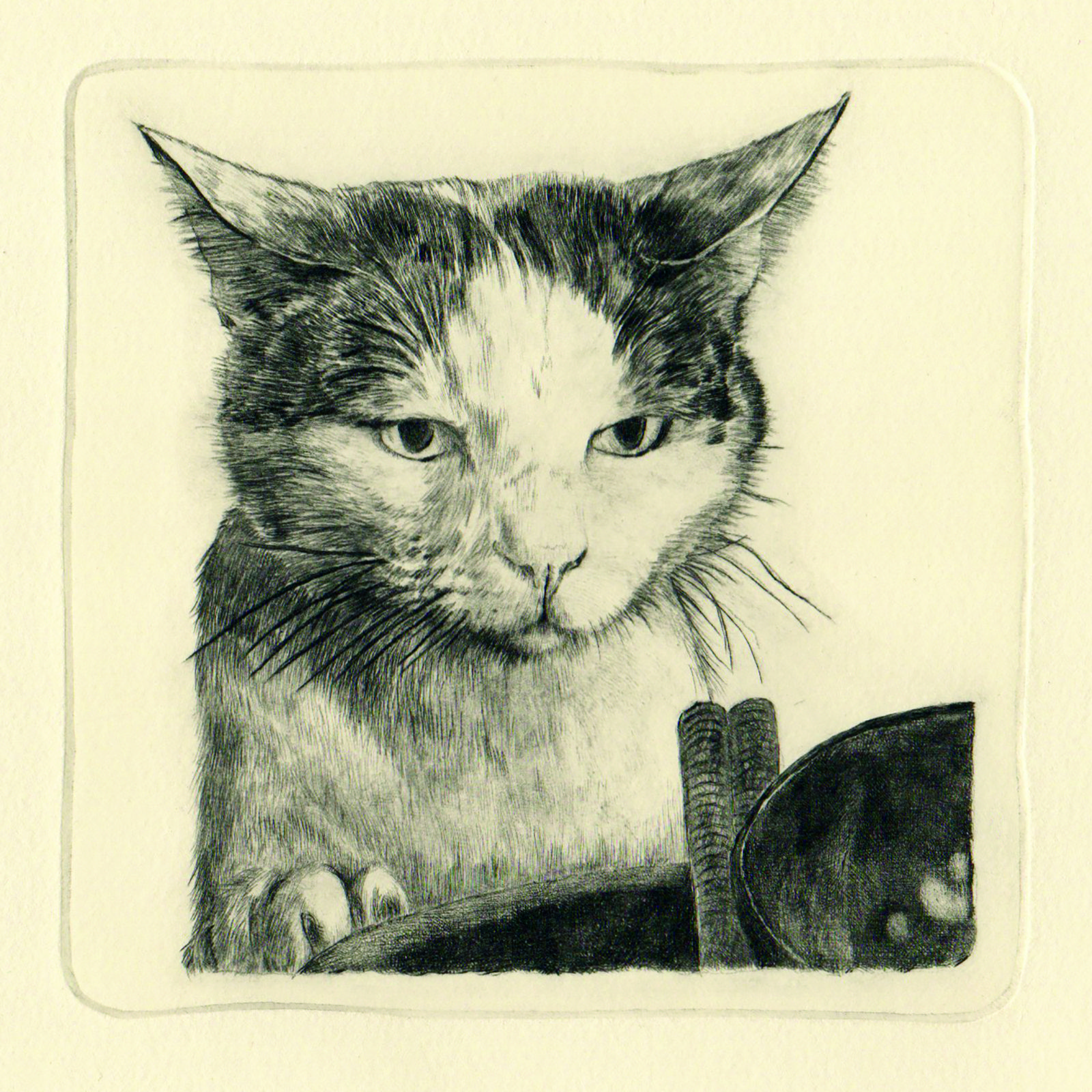 Hachitaro thinks about his meal… (drypoint etching by Yaemi Shigyo)