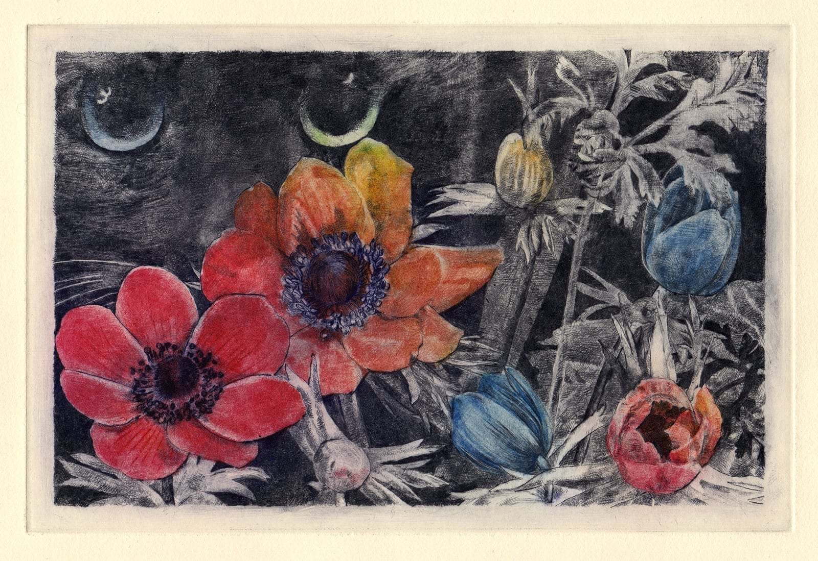 Kuro and anemones (drypoint etching by Yaemi Shigyo)