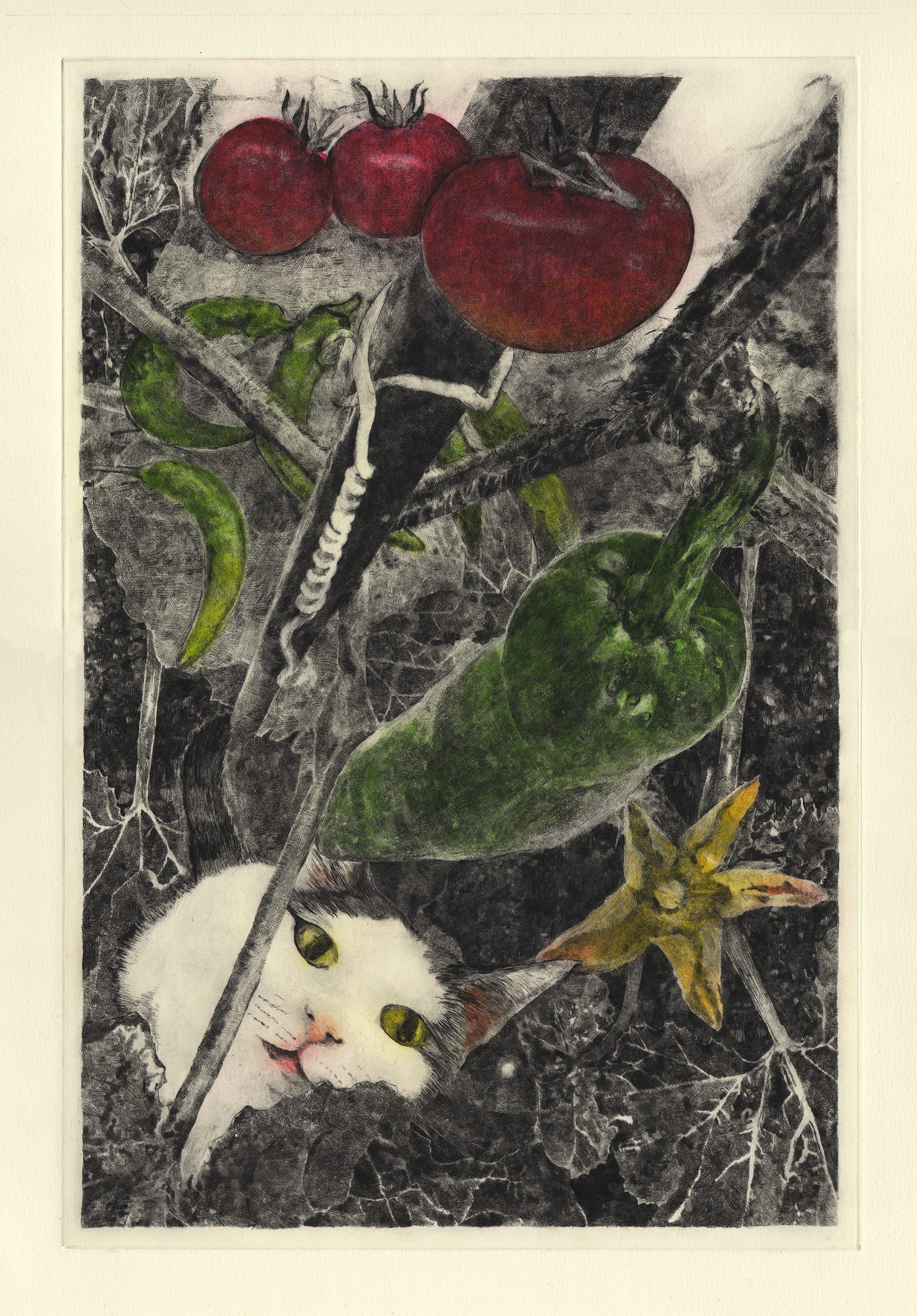 Summer vegetables (drypoint etching by Yaemi Shigyo)