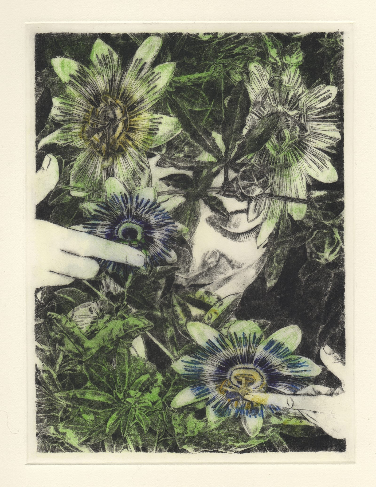 Passion flower (drypoint etching by Yaemi Shigyo)