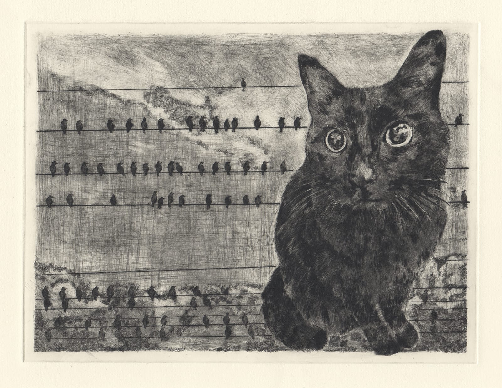 Kuro and wires (drypoint etching by Yaemi Shigyo)