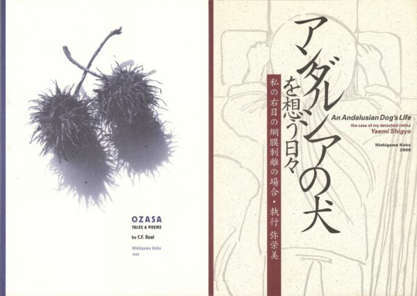Nishigawa Kobo books set
