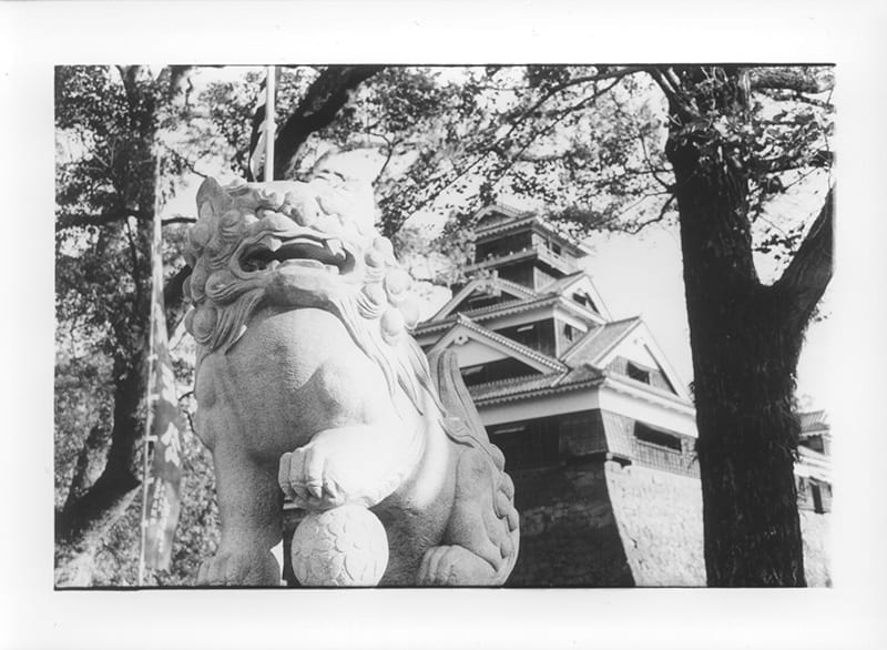 熊本城を背景にした熊本市加藤神社の狛犬
